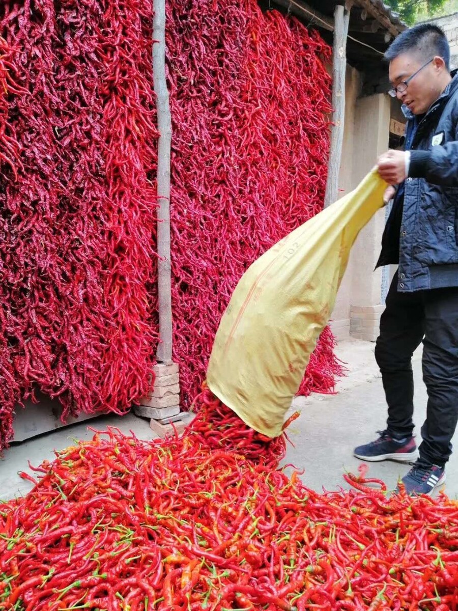 中国辣椒市场