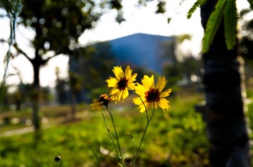 20131117-IMGP4368