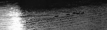 20131117-IMGP4413-编辑