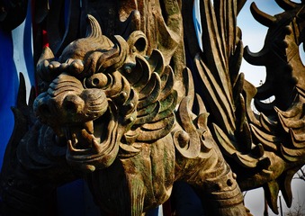 DSCF5007C1