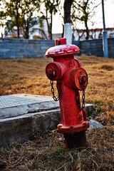 DSCF5051C1