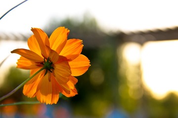 20131004-IMGP3340