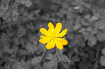 DSC00585 - 