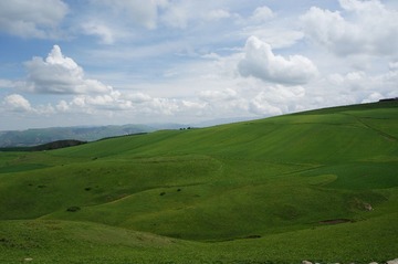 DSC00591 - 
