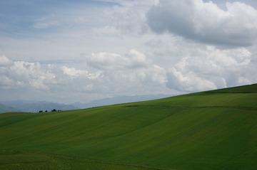 DSC00590 - 