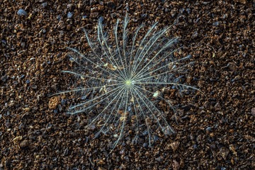 1397A757-A735-43F1-BCAC-3C440D8A2D95