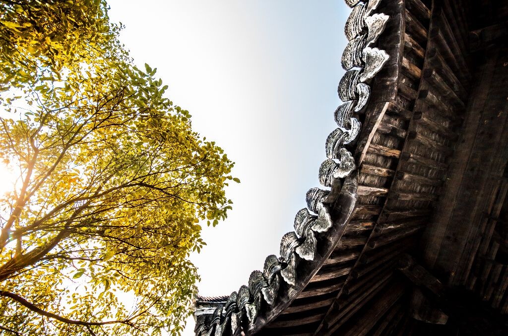 仙居的千年书院，桐江书院