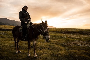 oldmanhorse