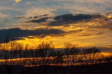 IMG_4307s