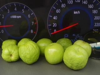 244630