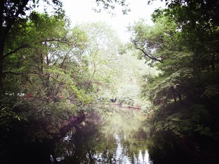 IMGP0387_