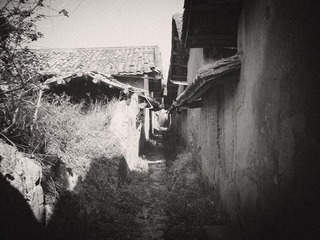 IMGP0915_