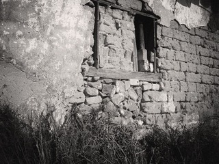 IMGP0931_