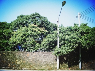 IMGP1005_
