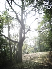 IMGP1035_
