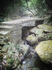 IMGP1093_