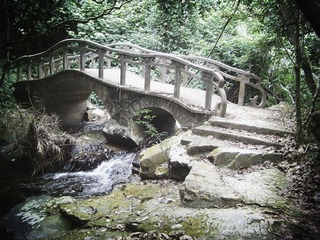 IMGP1140_