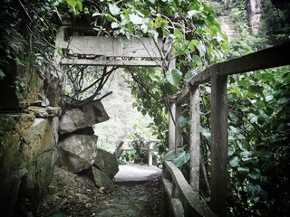 IMGP1154_