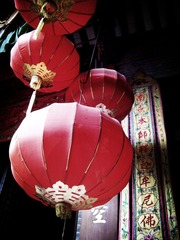 IMGP1178_