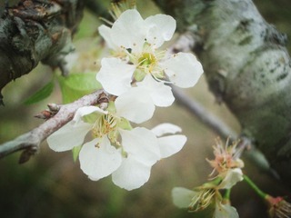 IMGP1339_