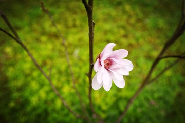 IMG_6345_