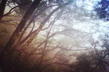 IMG_9637_
