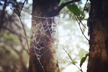 IMG_9662_