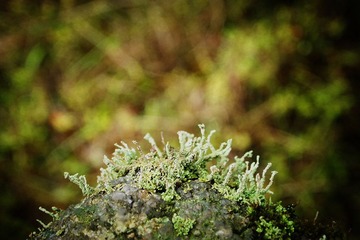 P6130126_