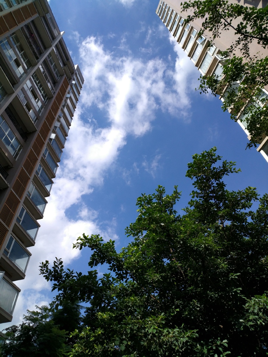 雨后的天空甚好