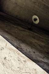 _DSC2194