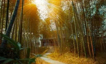 2016江西竹林小屋