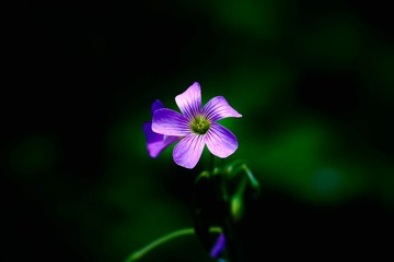 E63CD860-FB39-4389-AC78-4C218F5417DE/L0/001