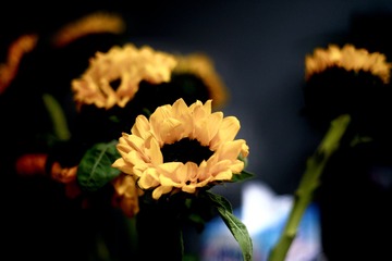 8C331965-B32E-44CE-8839-3DF5B655A9A3/L0/001