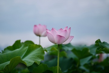 86856910-BE13-458E-AE3A-F686385ACD4C/L0/001