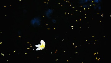 A8E3DEB4-5CE2-460F-AF9C-435E5782093D/L0/001