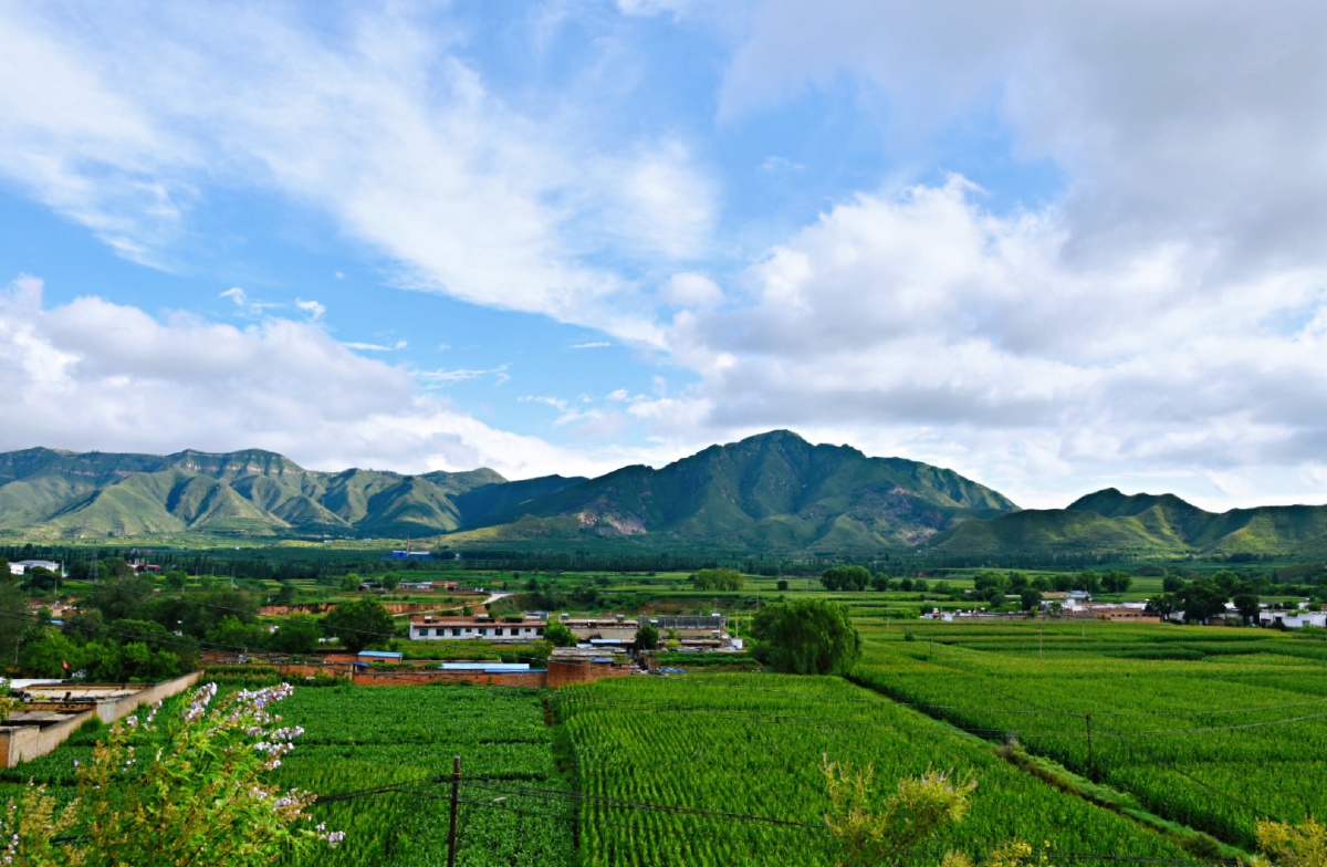乡村夏日风景