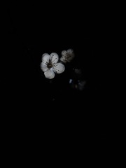 5F42734C-341D-4270-94B0-58D1B0352A4C/L0/001