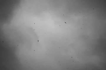 雨纷纷    2020   404