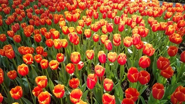 WP_20140203_13_53_05_Pro_