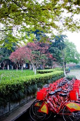 DSCF2898.jpg