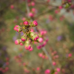 DSCF3216-3.jpg