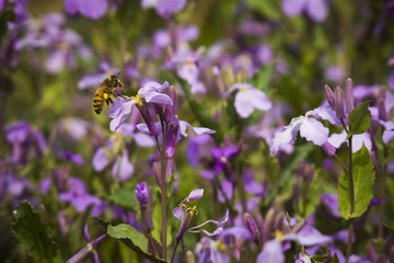 DSCF3248_2.jpg