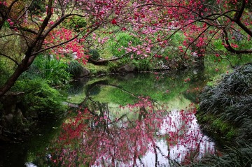 DSCF2983.jpg