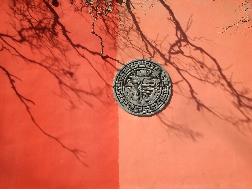 塔尔寺的红墙上印上了菩提的影子