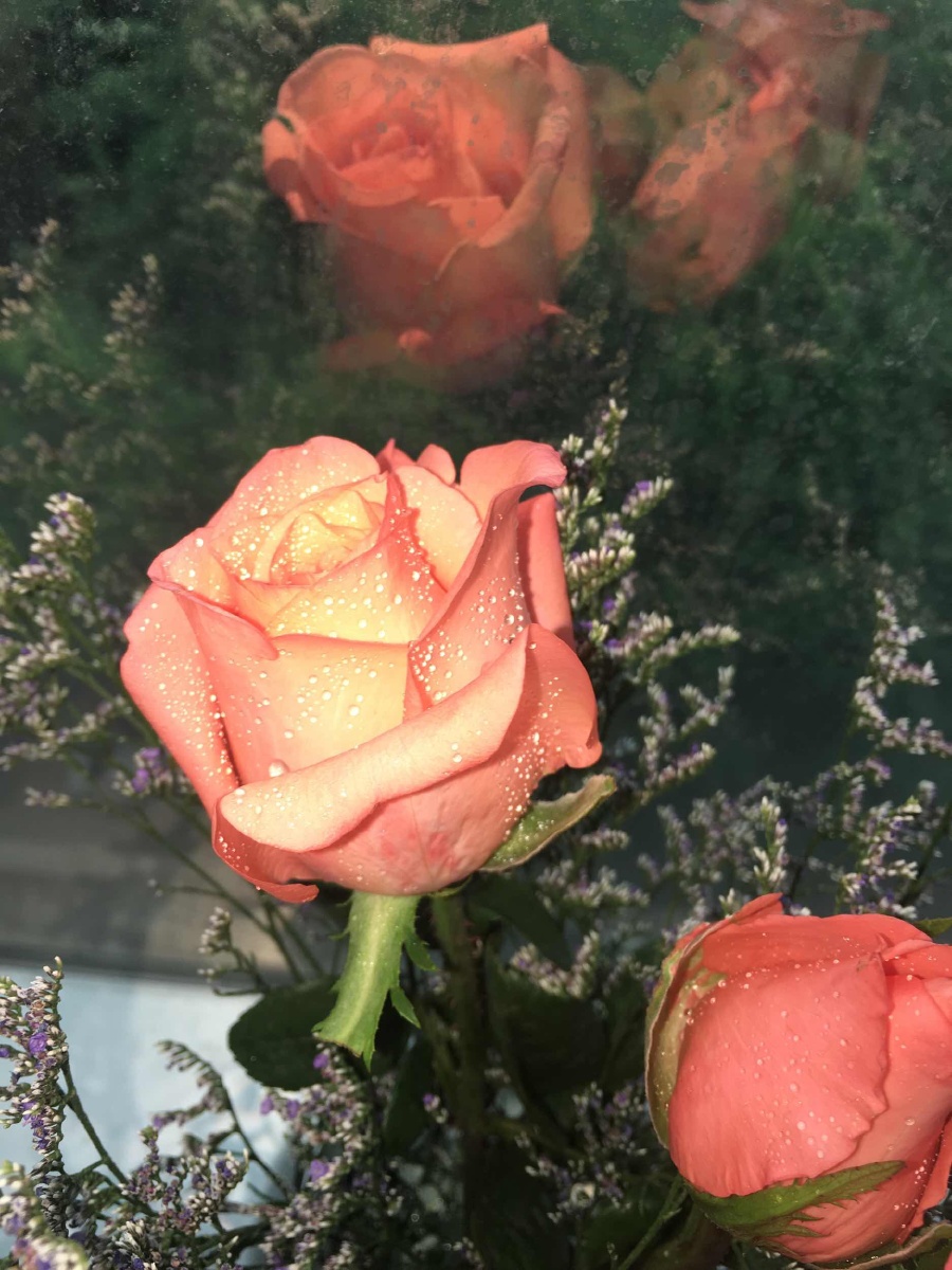 小仙女不喝露水 - 图虫