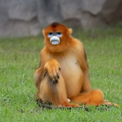 12398