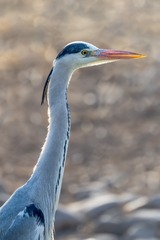 7840