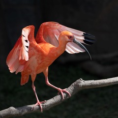 7822