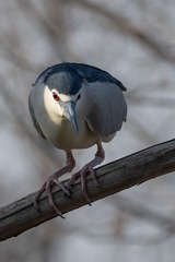 7841