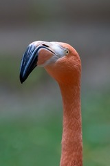 1148